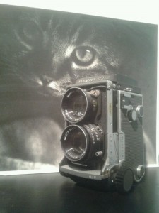 Max & Mamiya C220