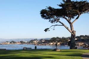 USA_08_carmel_m1