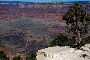 USA_08_grand_canyon