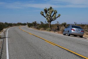 USA_08_joshua_tree