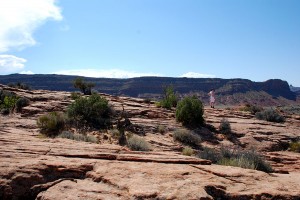 USA_08_national_arches